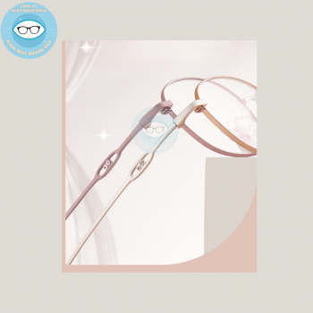 Gọng kính kim loại mã 6175